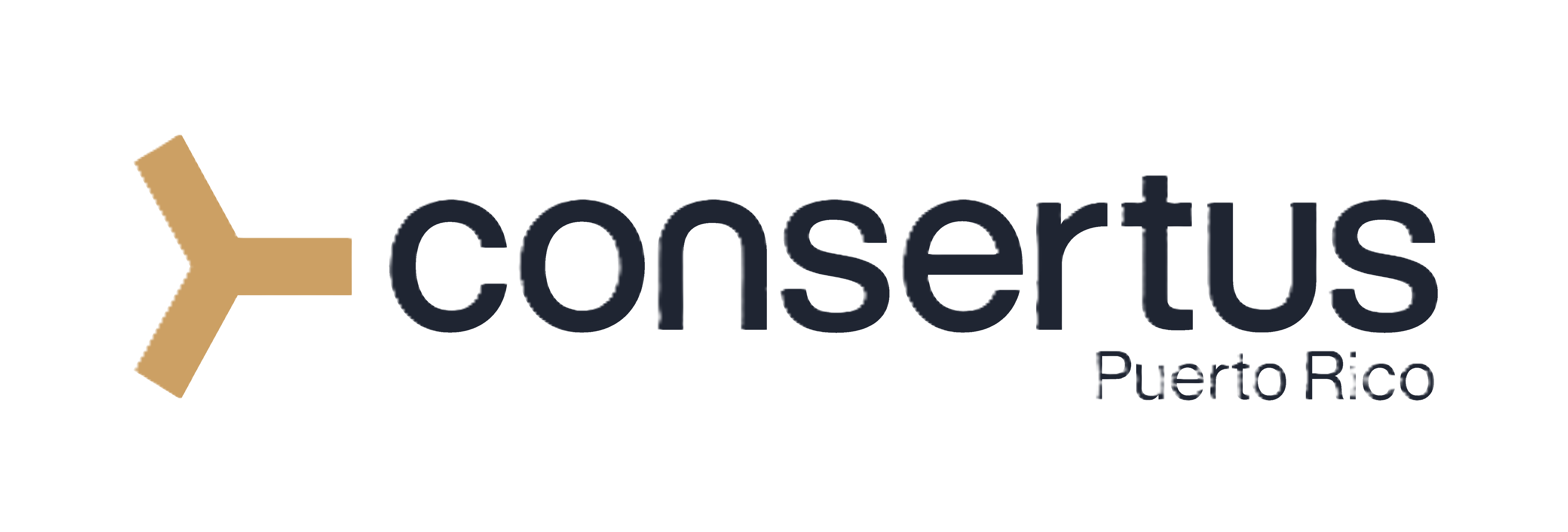 Consertus_Puerto_20Rico_Logo_2C_DarkBlueGold_CMYK_20_28002_29